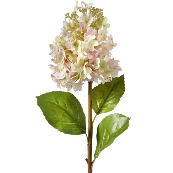 Regency International Rings Regency International Just Cut Snow Queen Hydrangea 25 Blush Regency International Rings Regency International Just Cut Snow Queen Hydrangea 25 Blush
